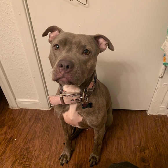 Meet your Posher, Rita - Picture 1 of 1